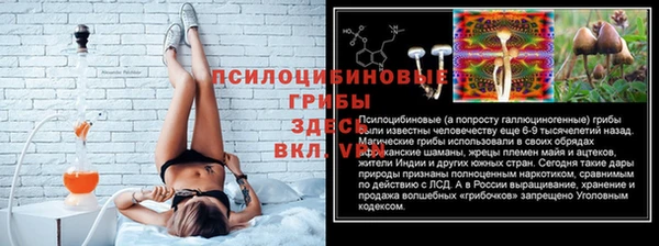 эйфоретик Баксан